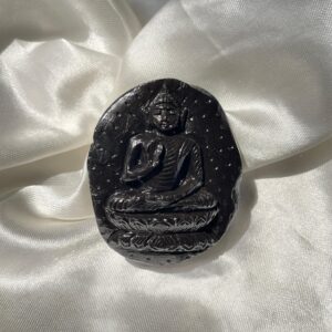Authentic Sudarshan Shaligram Stone with Buddha Idol Carving, Perfect Gift for Spiritual Growth