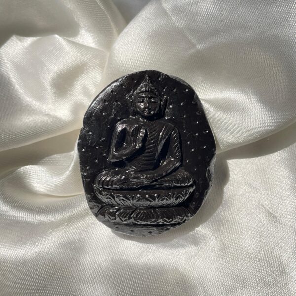 Authentic Sudarshan Shaligram Stone with Buddha Idol Carving, Perfect Gift for Spiritual Growth