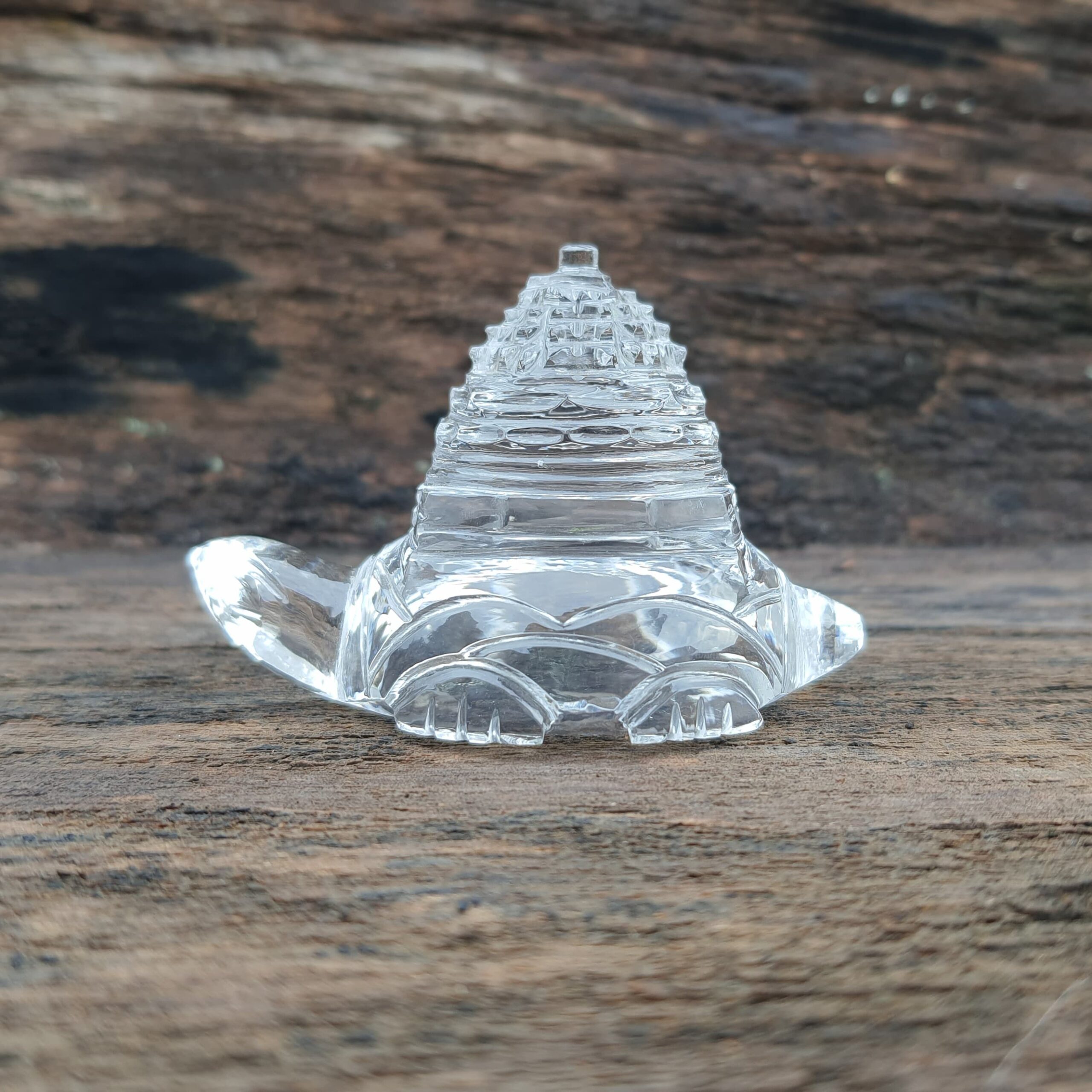 Original Crystal Sphatik Shree Yantra on Turtle, White Sphatik Turtle Shri Yantra - Image 1