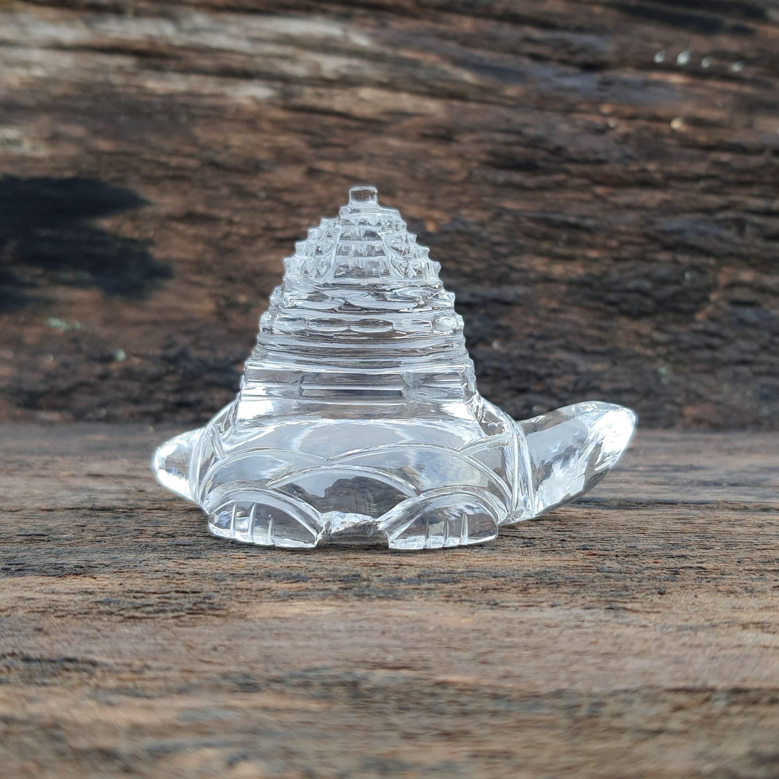 Original Crystal Sphatik Shree Yantra on Turtle, White Sphatik Turtle Shri Yantra - Image 2