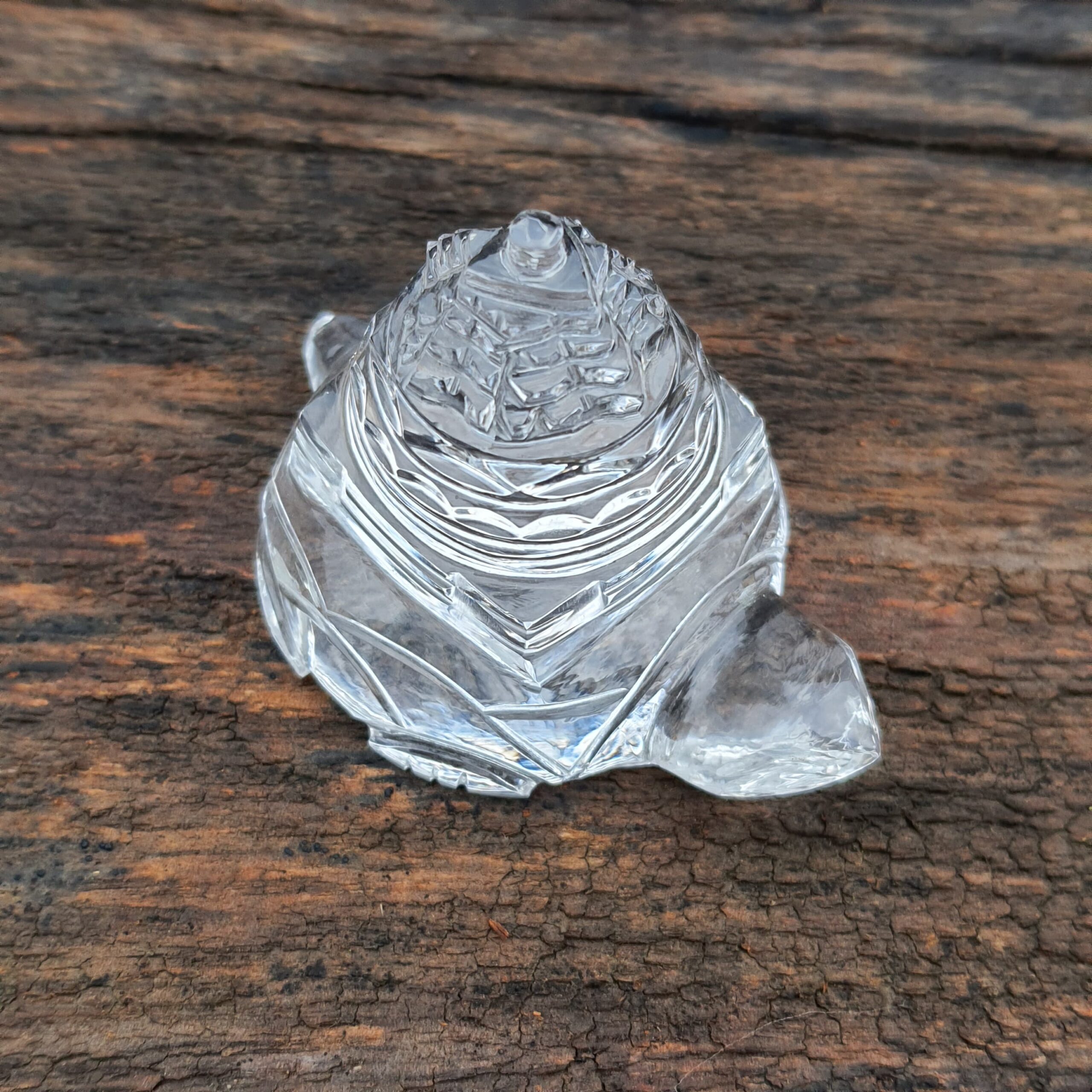 Original Crystal Sphatik Shree Yantra on Turtle, White Sphatik Turtle Shri Yantra - Image 3