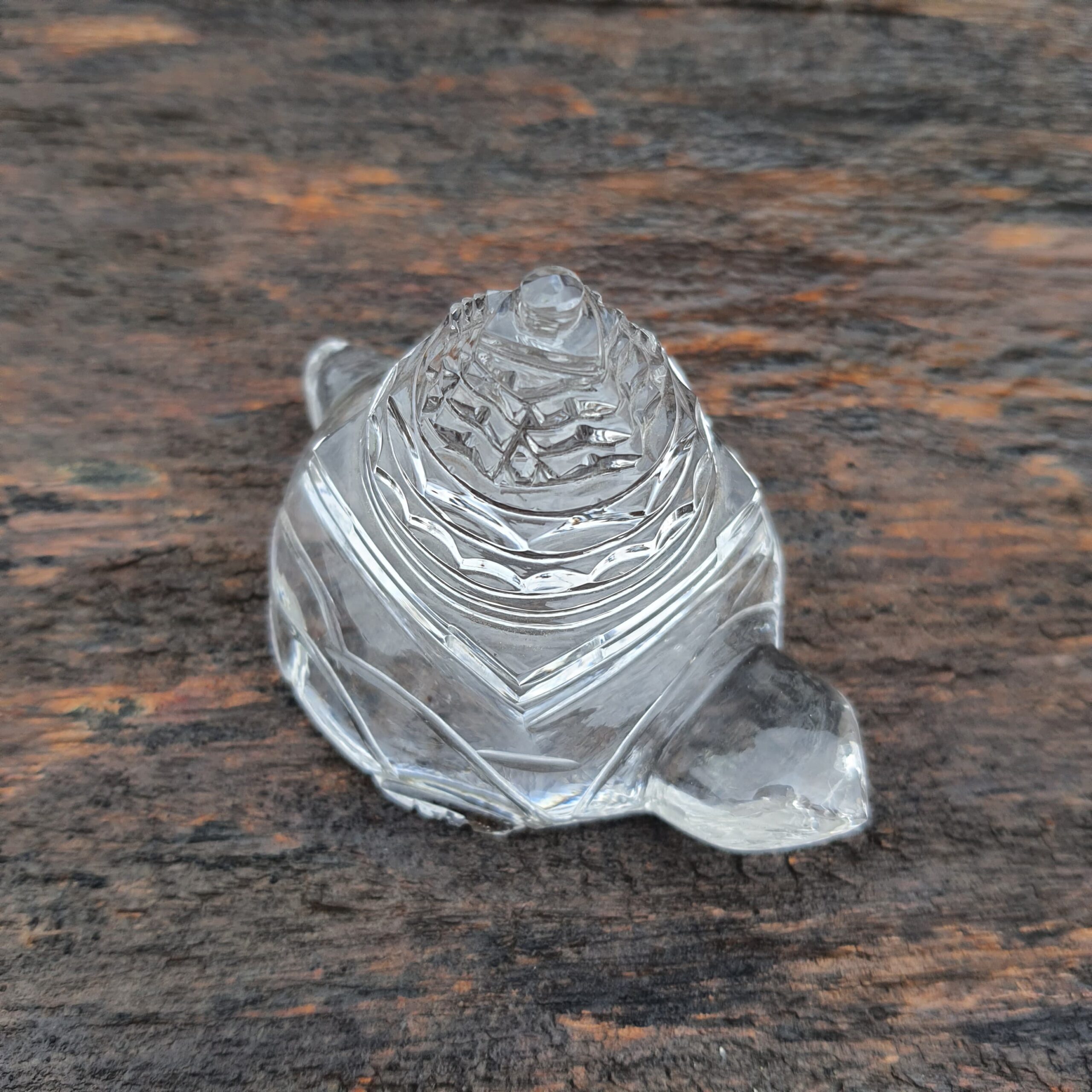 Original Crystal Sphatik Shree Yantra on Turtle - Image 4