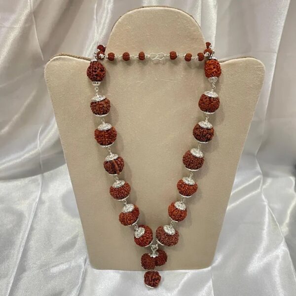 1 - 14 Mukhi Siddha Rudraksha Mala, 1 Faced to 14 Faced Rudraksha Necklace in pure 925 Sterling Silver, IGL Certified Siddha Rudraksha