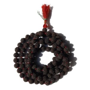 Black Rudraksha Mala, 6mm Indonesia Rudraksha Mala for Meditation