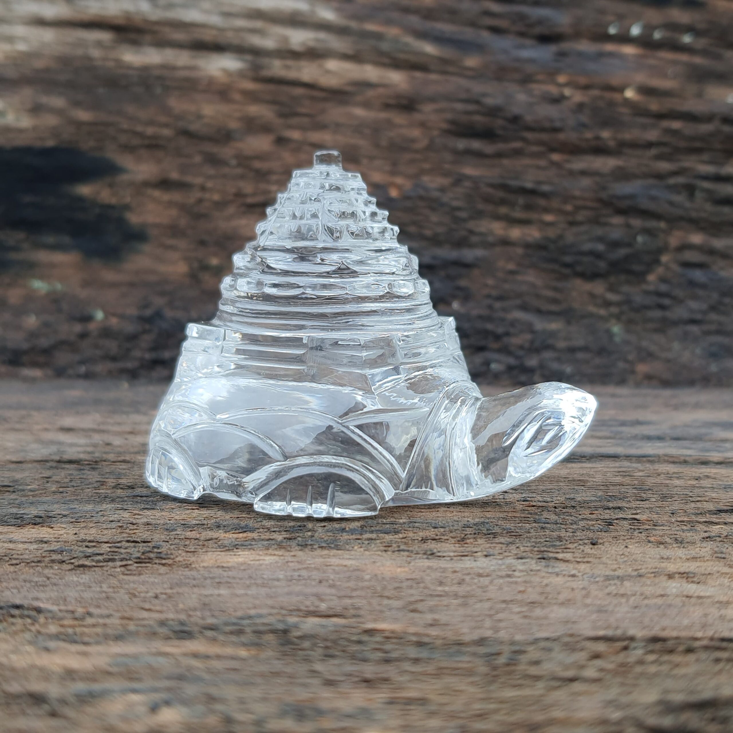 Original Crystal Sphatik Shree Yantra on Turtle, White Sphatik Turtle Shri Yantra - Image 5