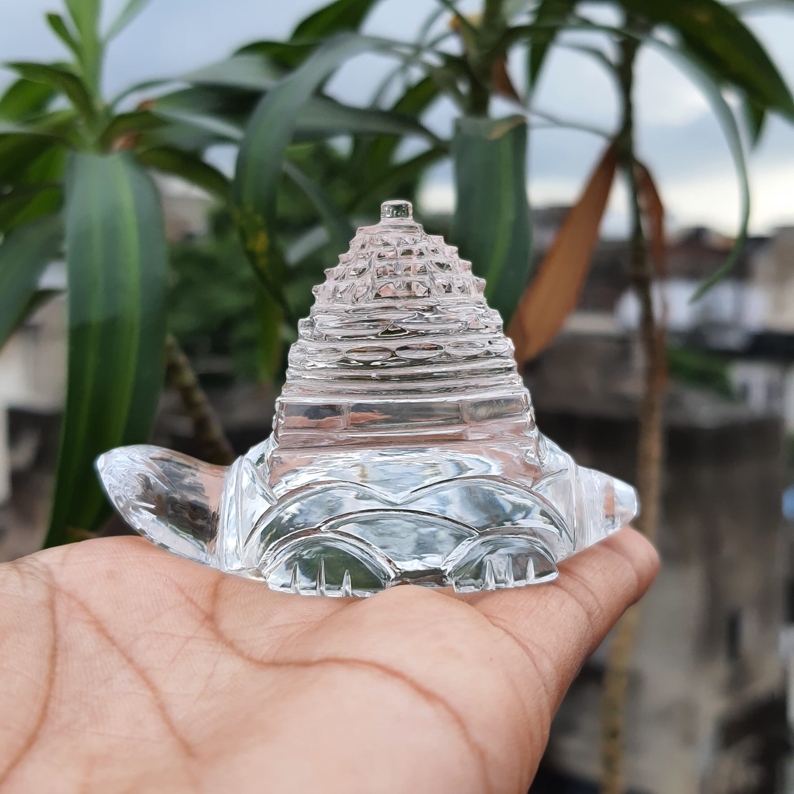 Original Crystal Sphatik Shree Yantra on Turtle, White Sphatik Turtle Shri Yantra - Image 9