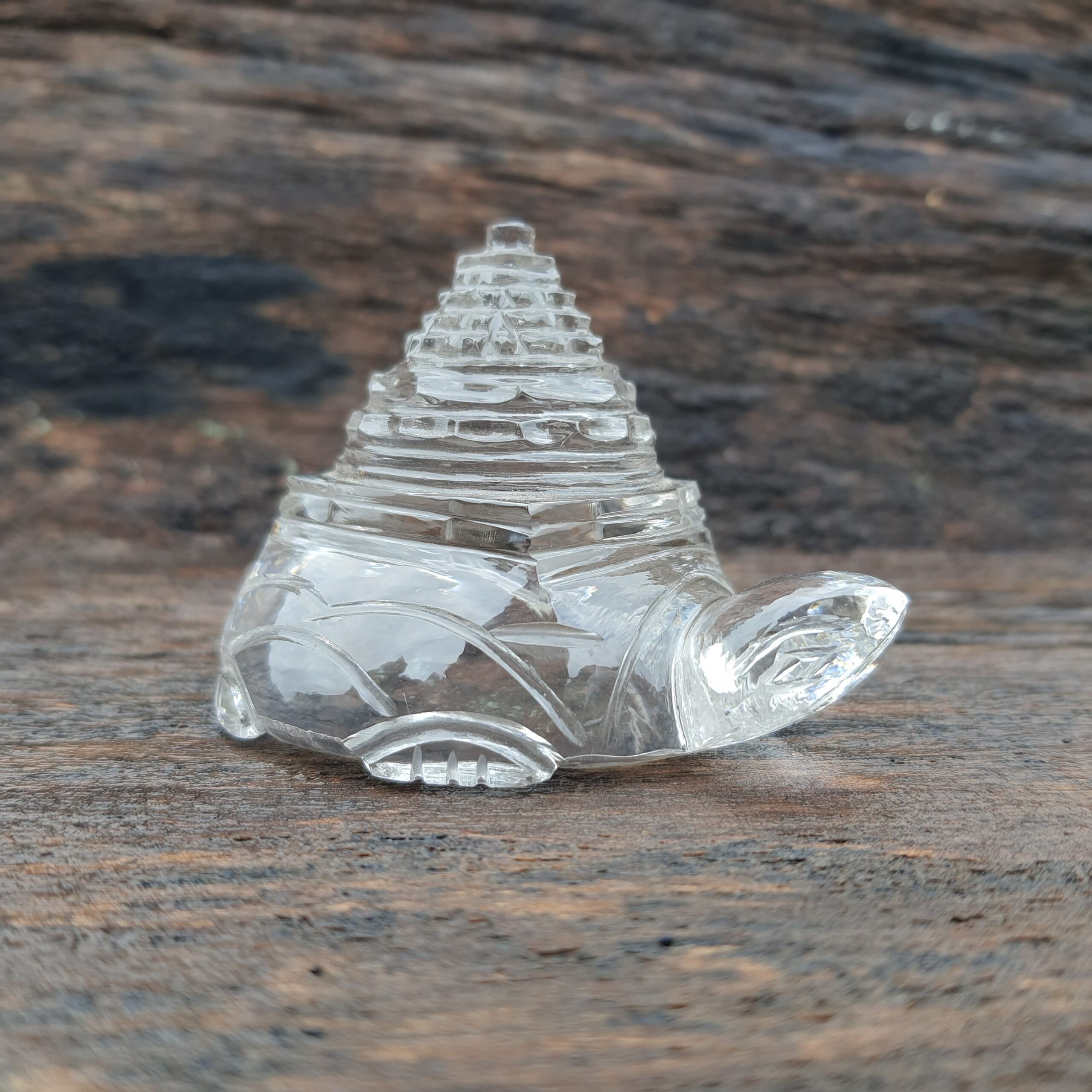 Original Crystal Sphatik Shree Yantra on Turtle - Image 5
