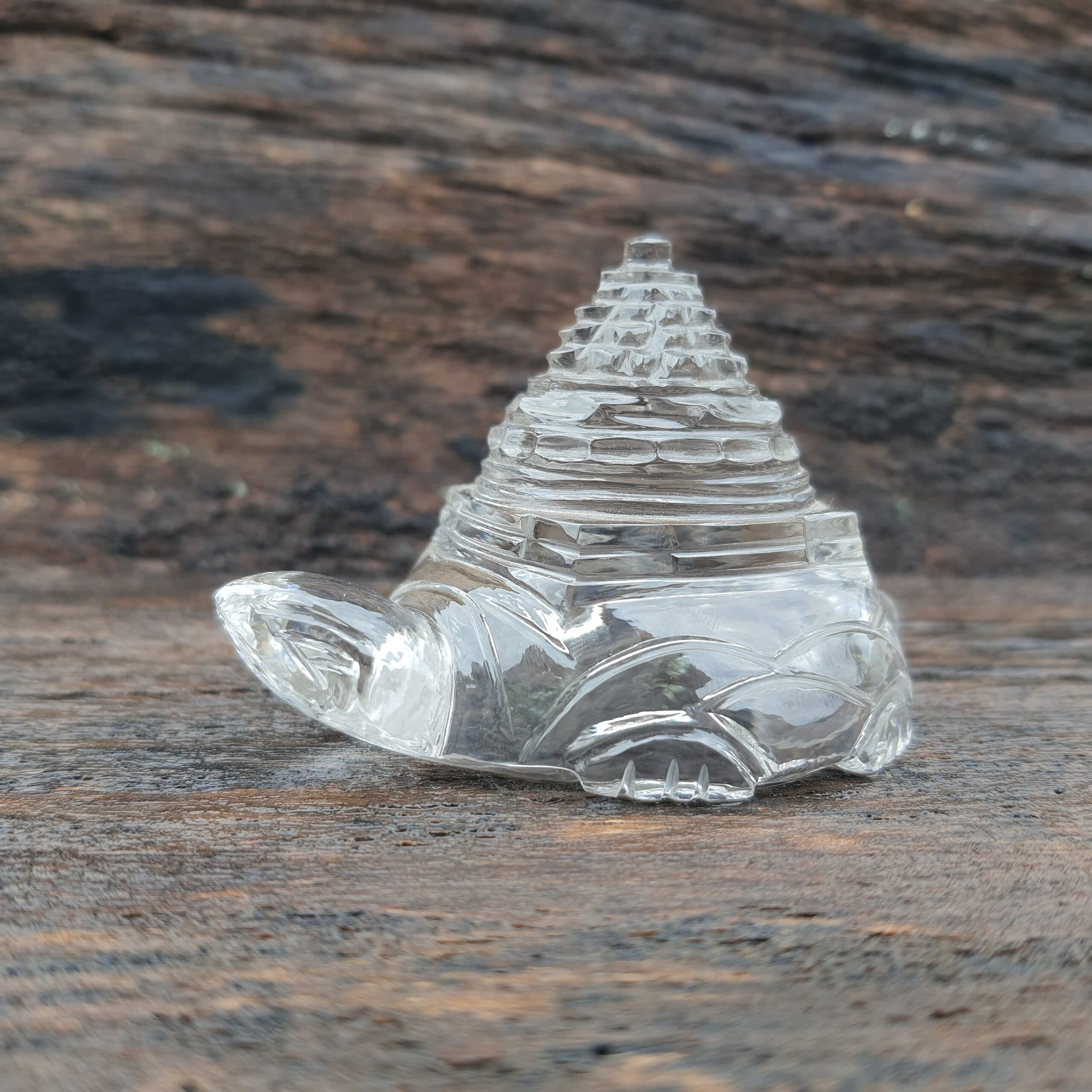 Original Crystal Sphatik Shree Yantra on Turtle - Image 7