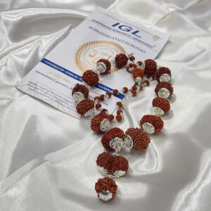 1-14 Face Rudraksha Beads Mala, Rudraksha Siddha Mala in Sterling Silver