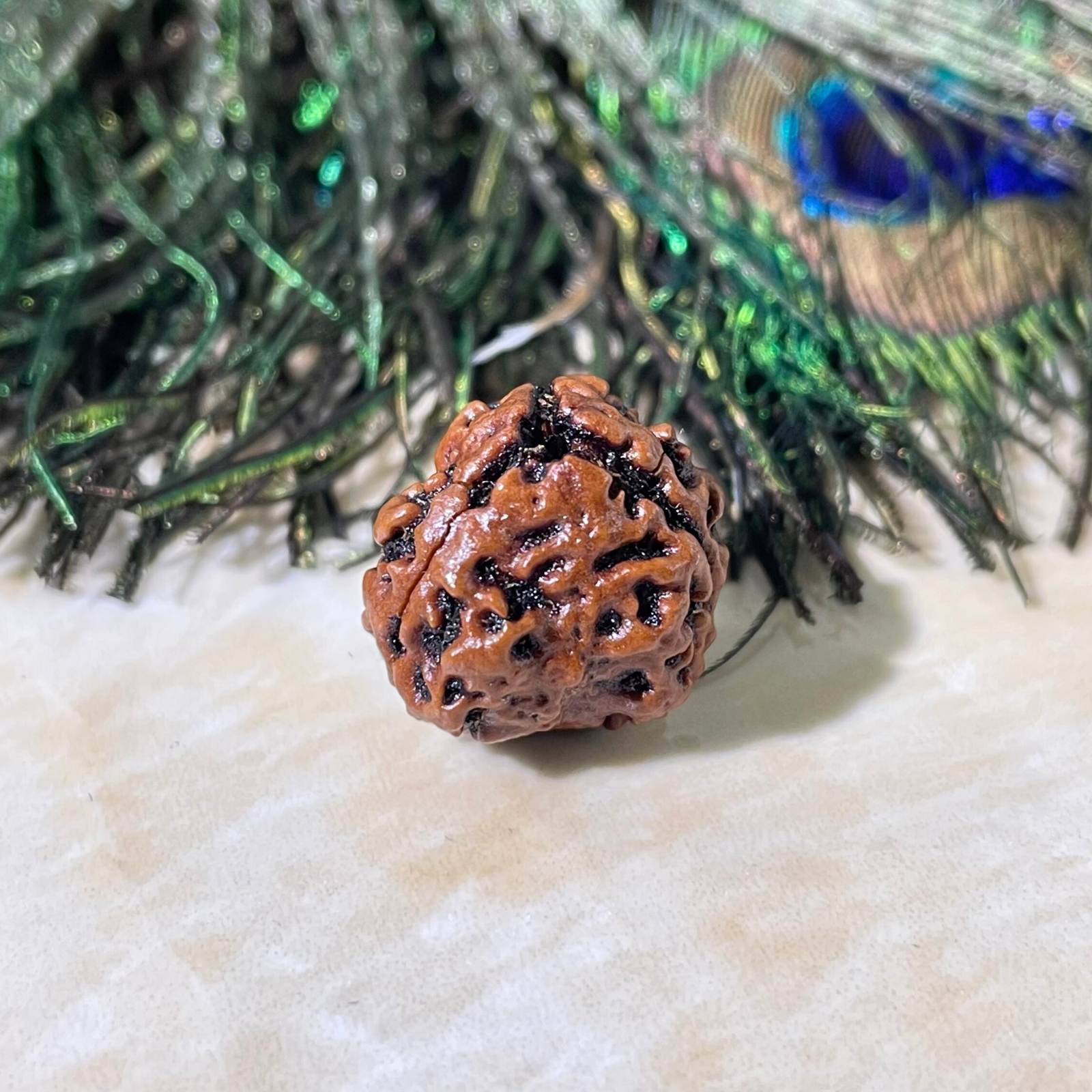 3 Mukhi Rudraksha, Nepali Rudraksha with Lab Certified - Image 10