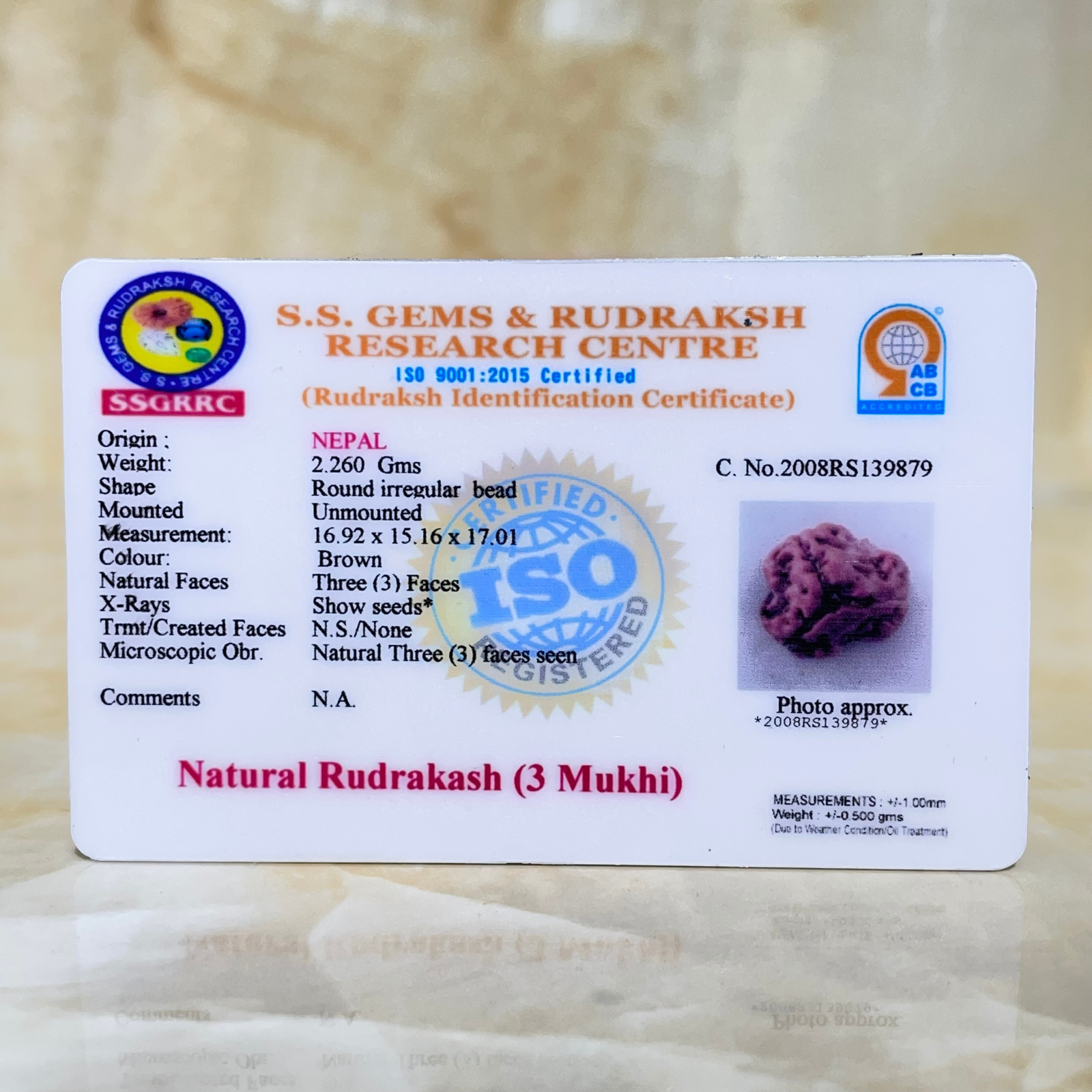 3 Mukhi Rudraksha, Nepali Rudraksha with Lab Certified - Image 2