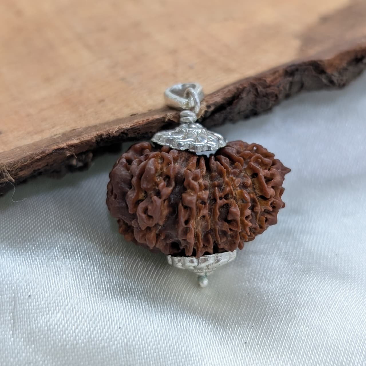 Nepali 14 Mukhi Rudraksha Silver Pendant – Lab Certified & X-Ray - Image 7