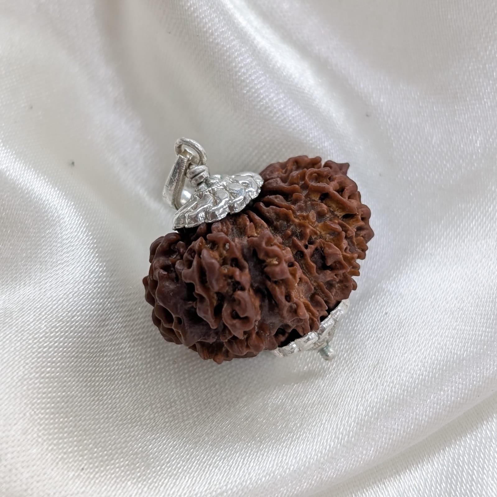 Nepali 14 Mukhi Rudraksha Silver Pendant – Lab Certified & X-Ray - Image 5