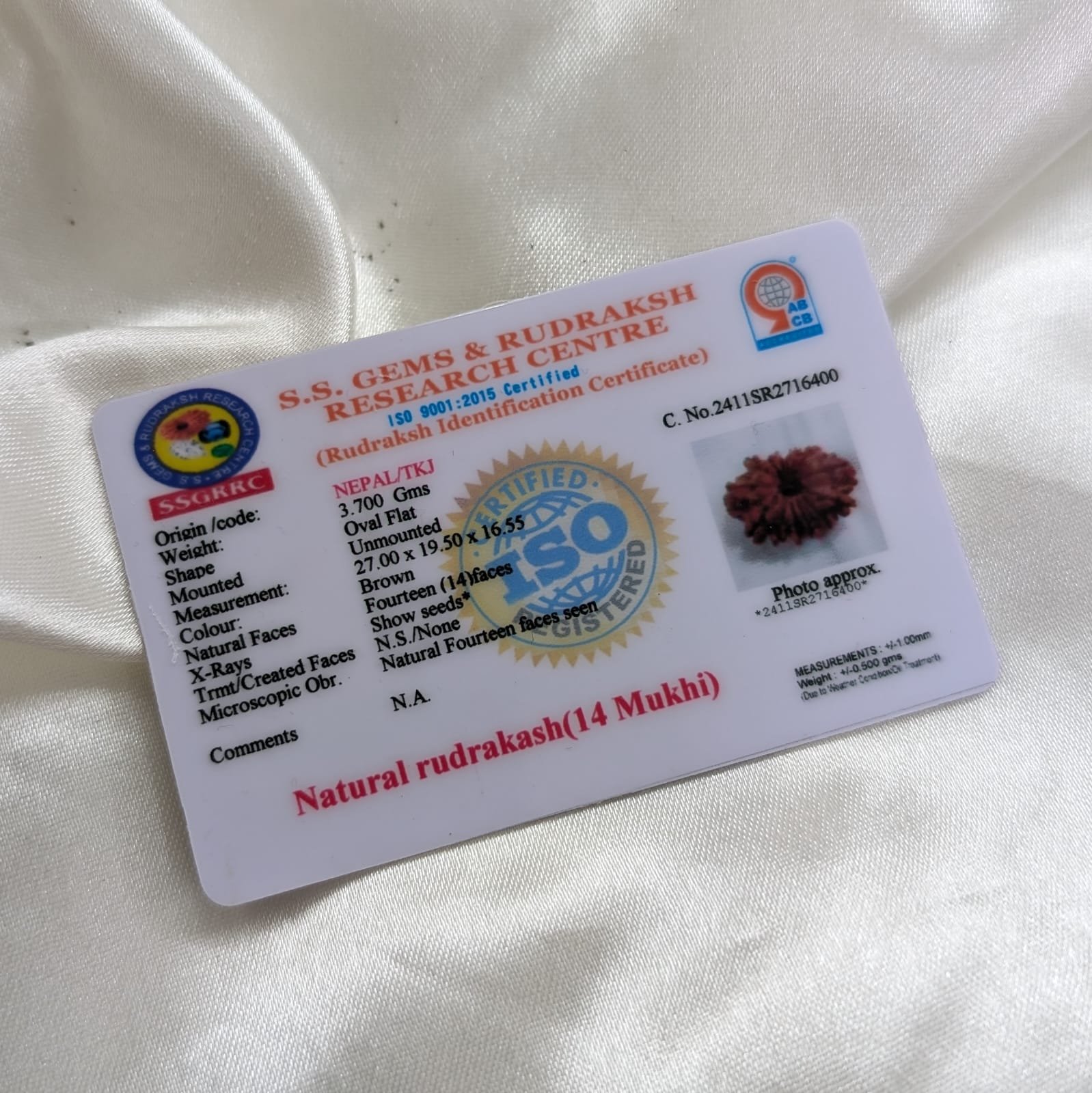 Nepali 14 Mukhi Rudraksha Silver Pendant – Lab Certified & X-Ray - Image 2