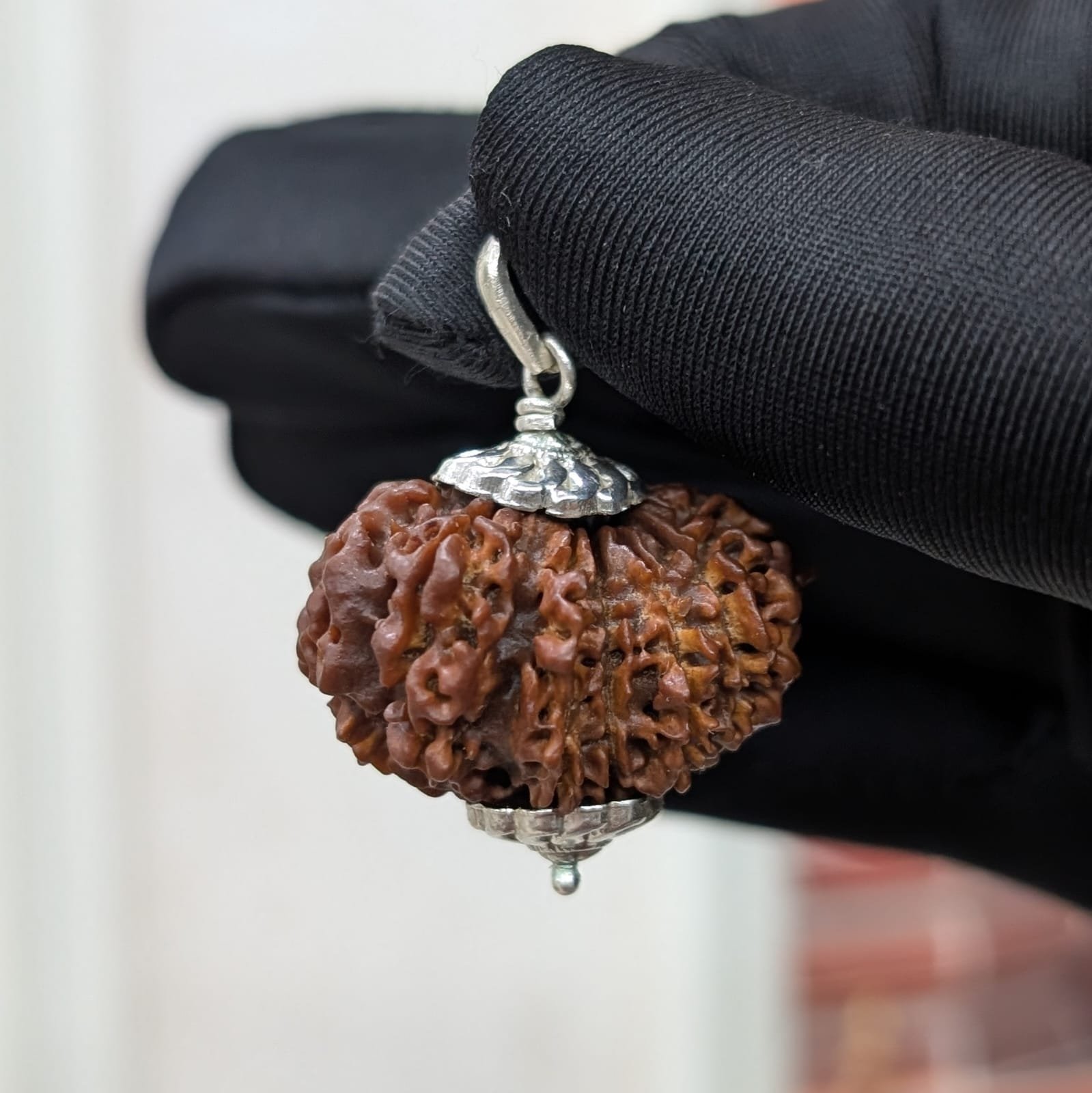 Nepali 14 Mukhi Rudraksha Silver Pendant – Lab Certified & X-Ray - Image 10