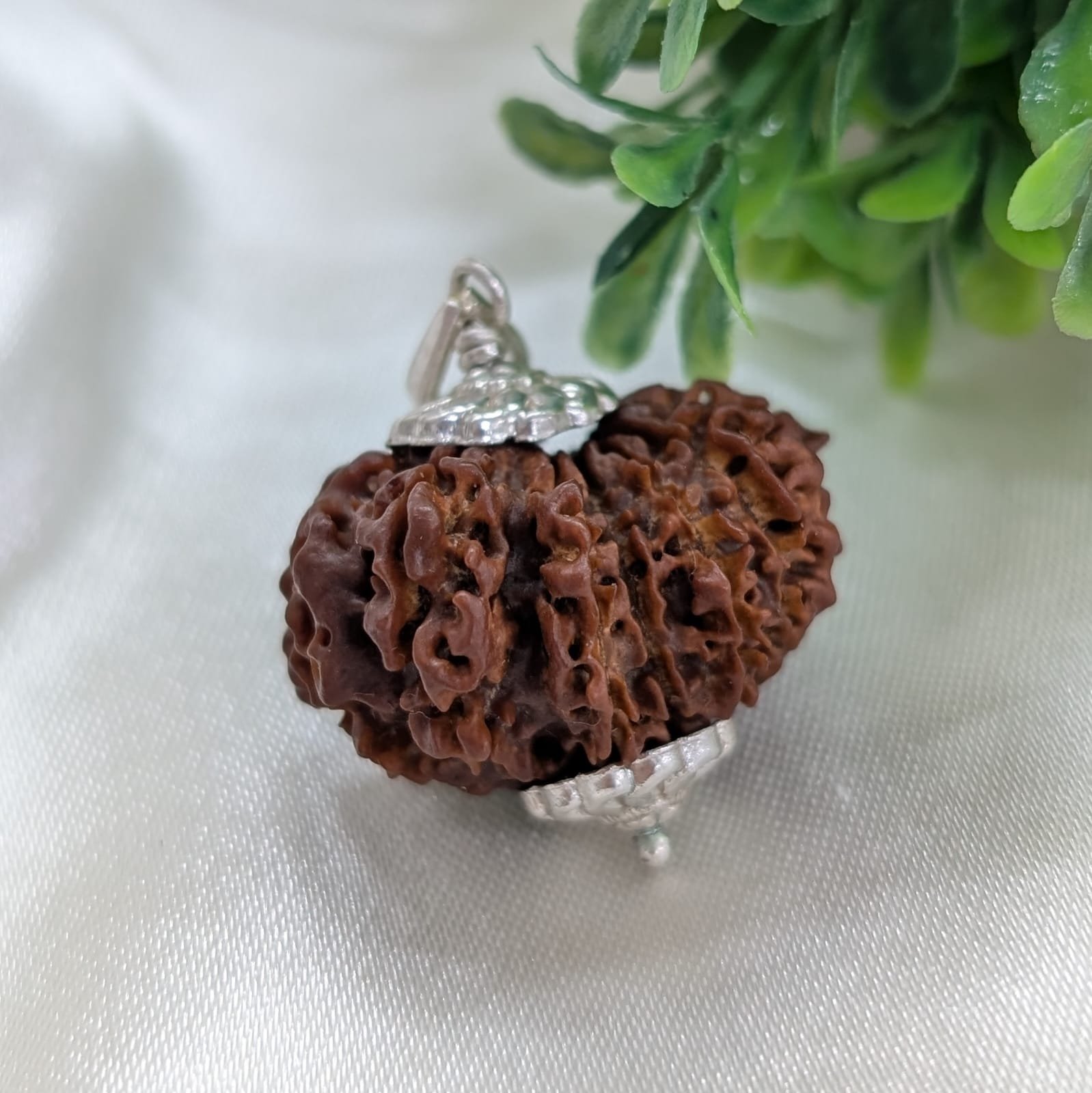Nepali 14 Mukhi Rudraksha Silver Pendant – Lab Certified & X-Ray