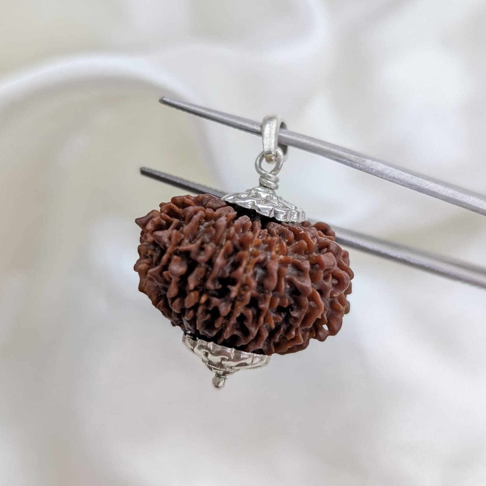 Nepali 14 Mukhi Rudraksha Silver Pendant – Lab Certified & X-Ray - Image 8