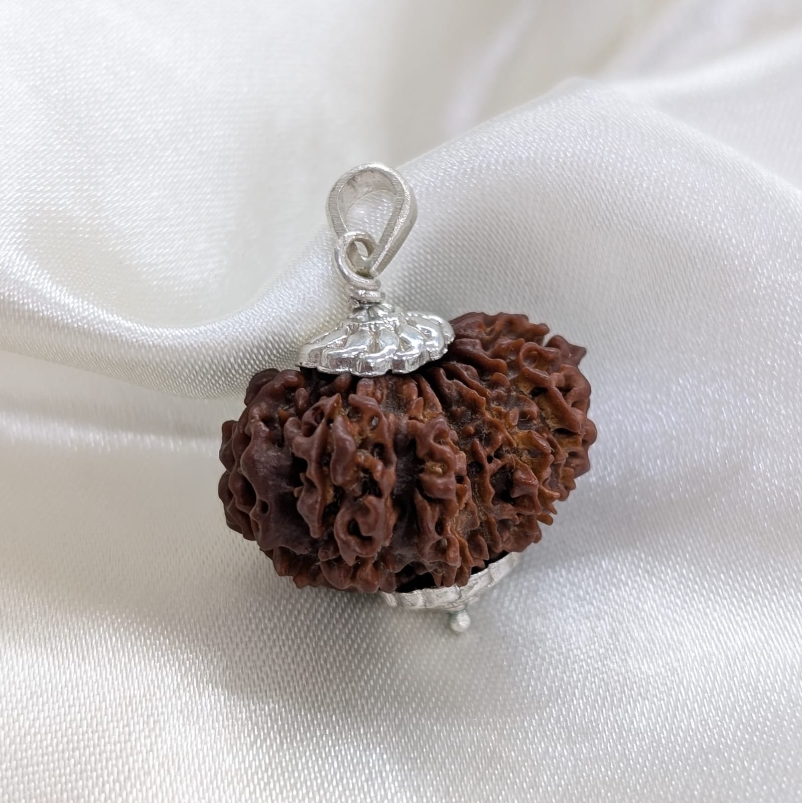 Nepali 14 Mukhi Rudraksha Silver Pendant – Lab Certified & X-Ray - Image 6