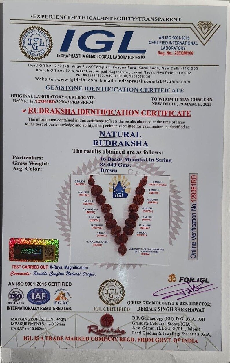 Siddha Rudraksha Mala, Nepali 1-14 Mukhi Necklace with Ganesha & Gauri Shankar - Image 10