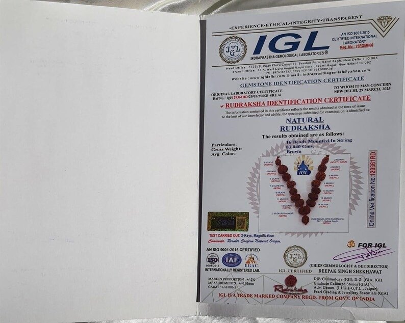 Siddha Rudraksha Mala, Nepali 1-14 Mukhi Necklace with Ganesha & Gauri Shankar - Image 9