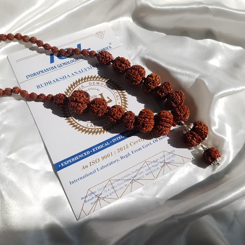Siddha Rudraksha Mala, Nepali 1-14 Mukhi Necklace with Ganesha & Gauri Shankar - Image 8