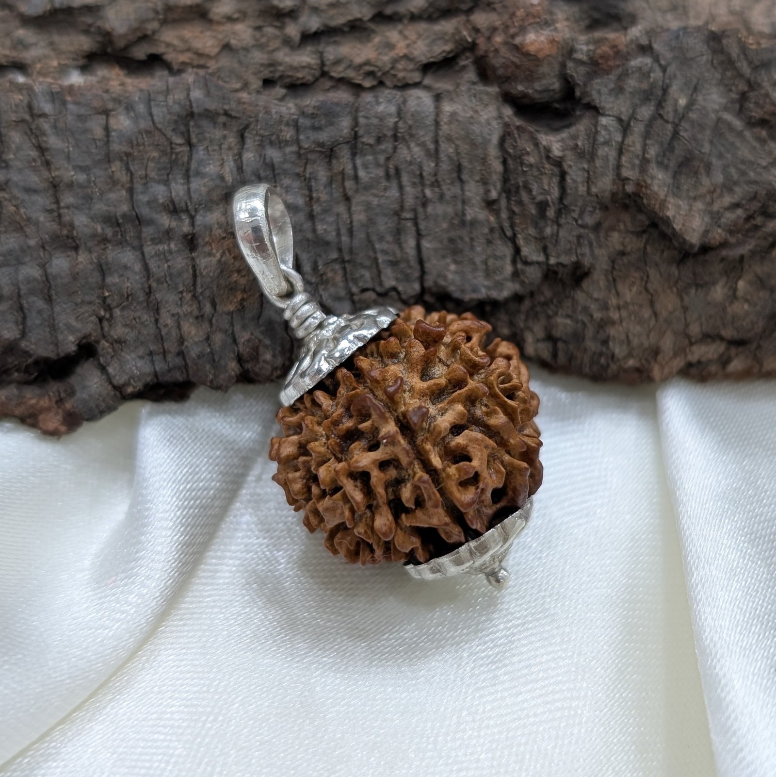 9 Mukhi Rudraksha, Silver Pendant Nepali Nine Face Rudraksha Bead
