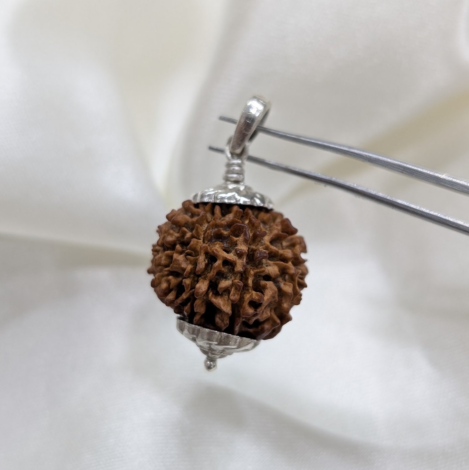 9 Mukhi Rudraksha, Silver Pendant Nepali Nine Face Rudraksha Bead - Image 7