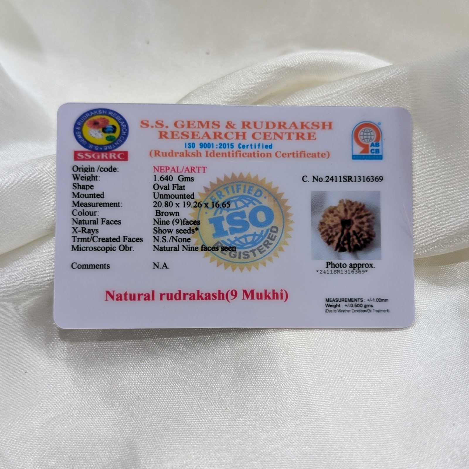 9 Mukhi Rudraksha, Silver Pendant Nepali Nine Face Rudraksha Bead - Image 8