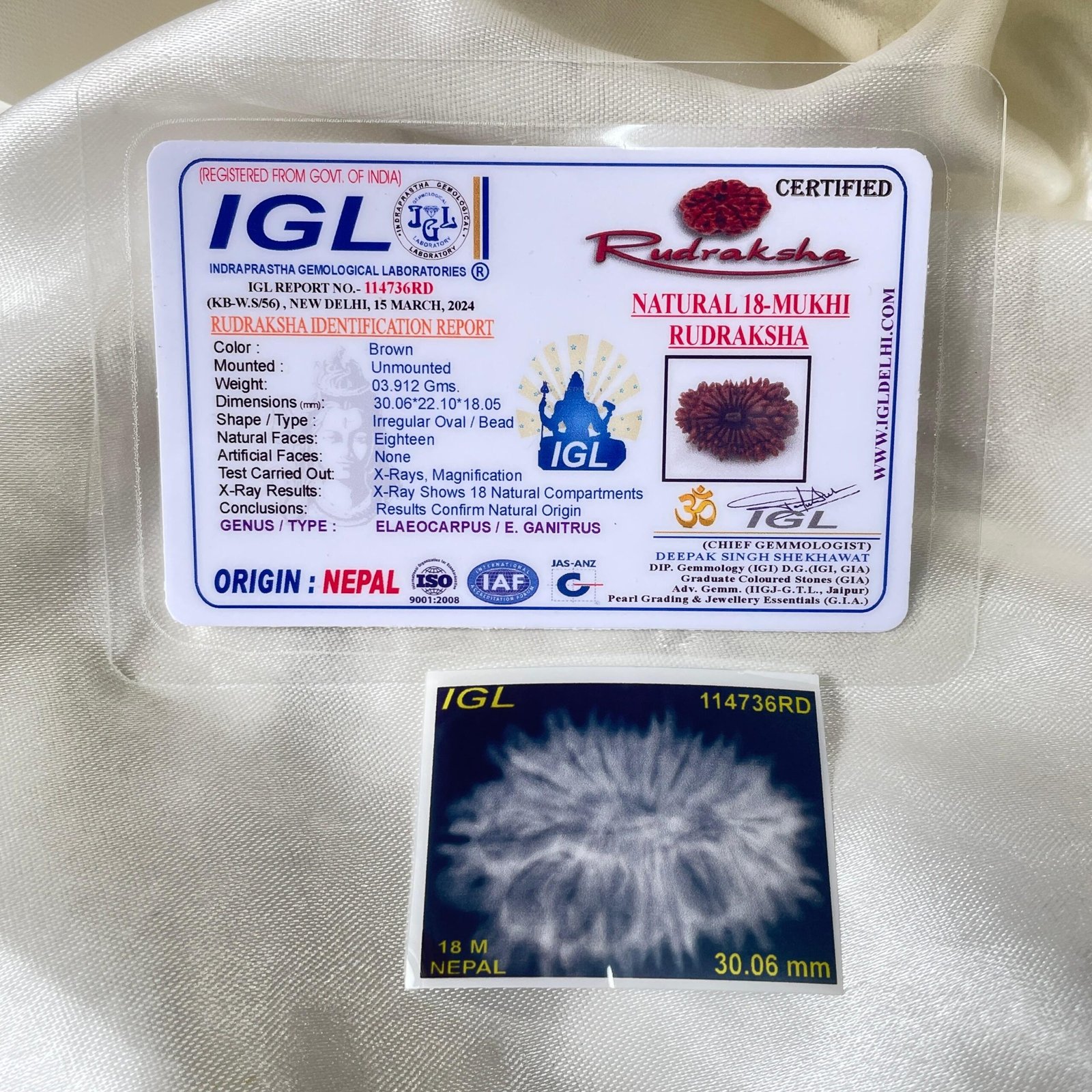 Original 18 Mukhi Nepali Rudraksha Pendant - Image 2