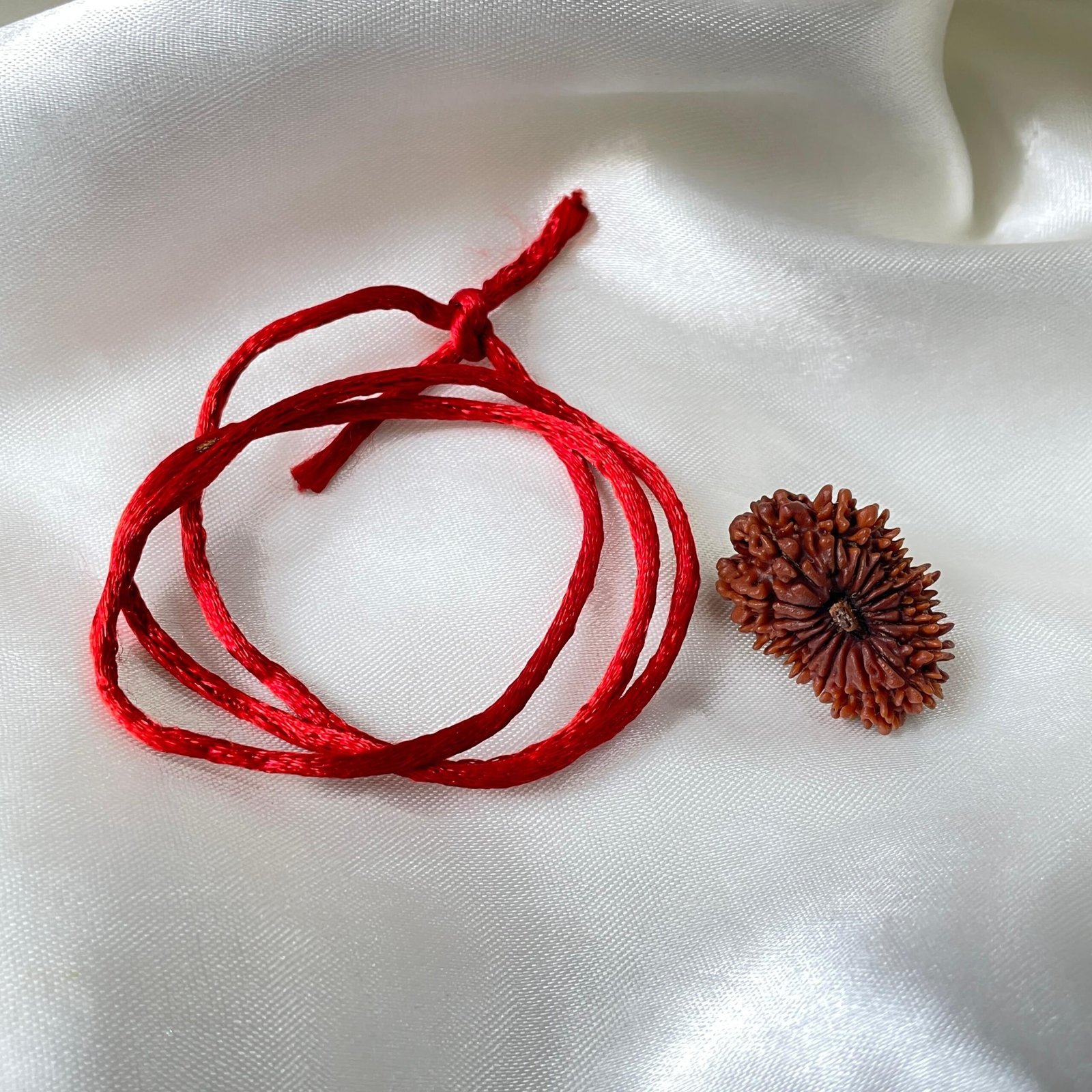 Original 18 Mukhi Nepali Rudraksha Pendant - Image 6