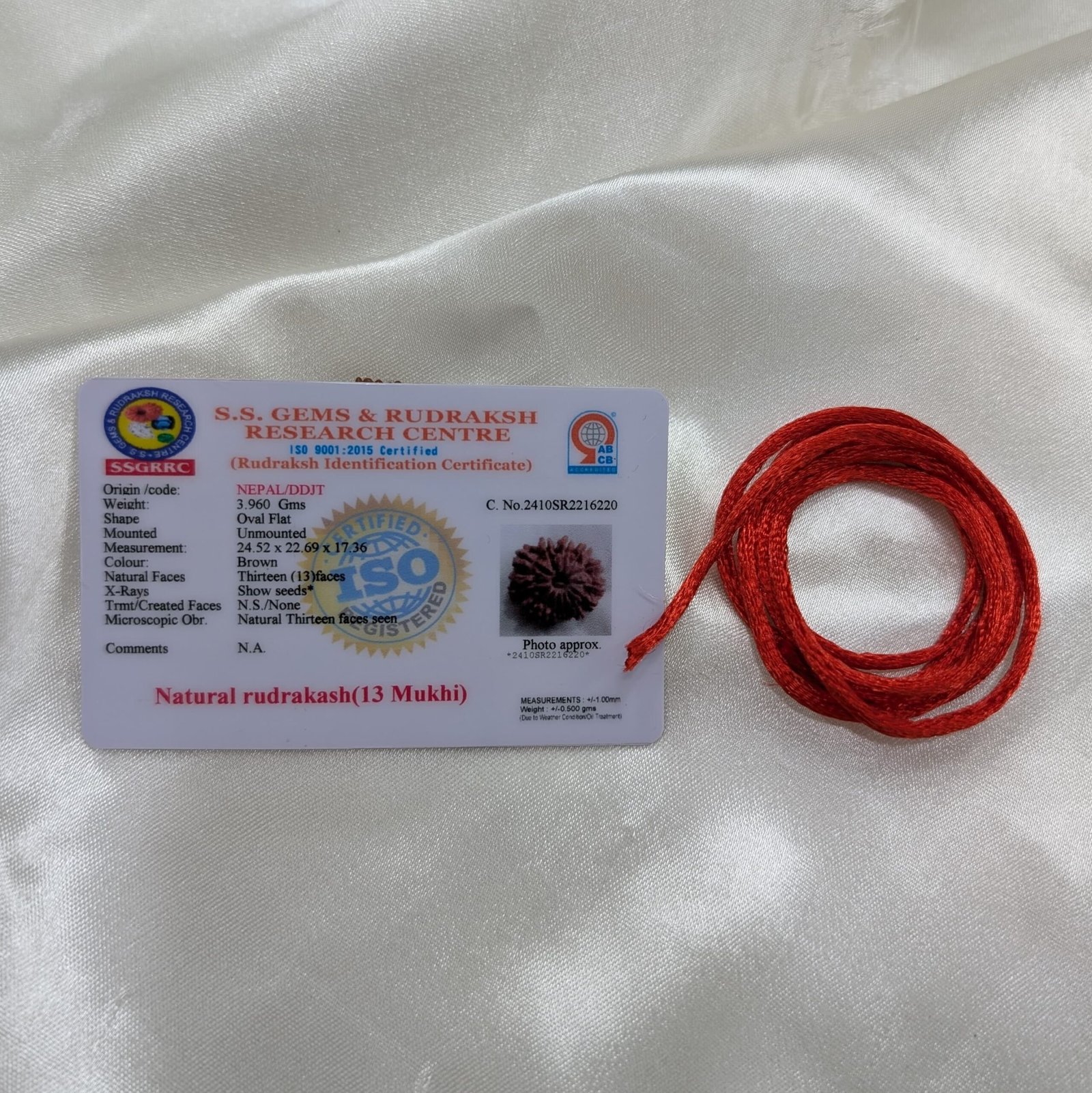 13 Mukhi Nepali Rudraksha with Certificate - Image 2
