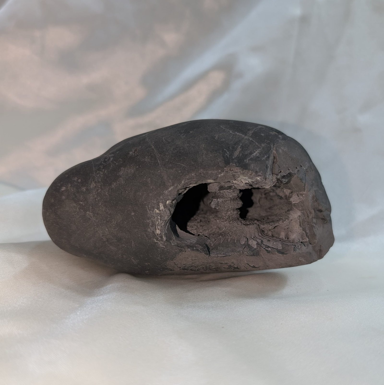 Original Vishnu Chakra Shaligram Shila - Sacred Gandaki River Stone - Image 3