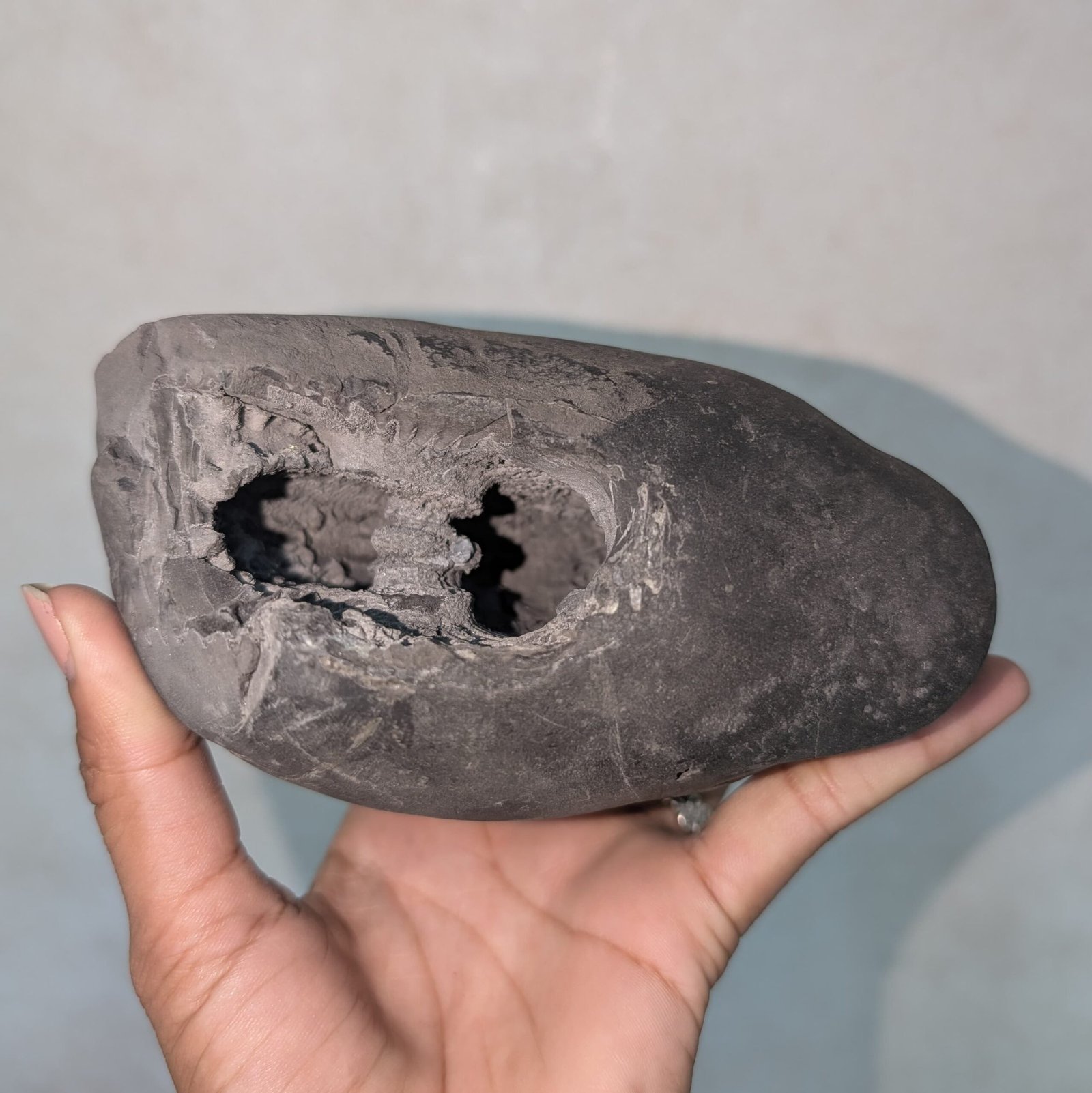 Original Vishnu Chakra Shaligram Shila - Sacred Gandaki River Stone - Image 2