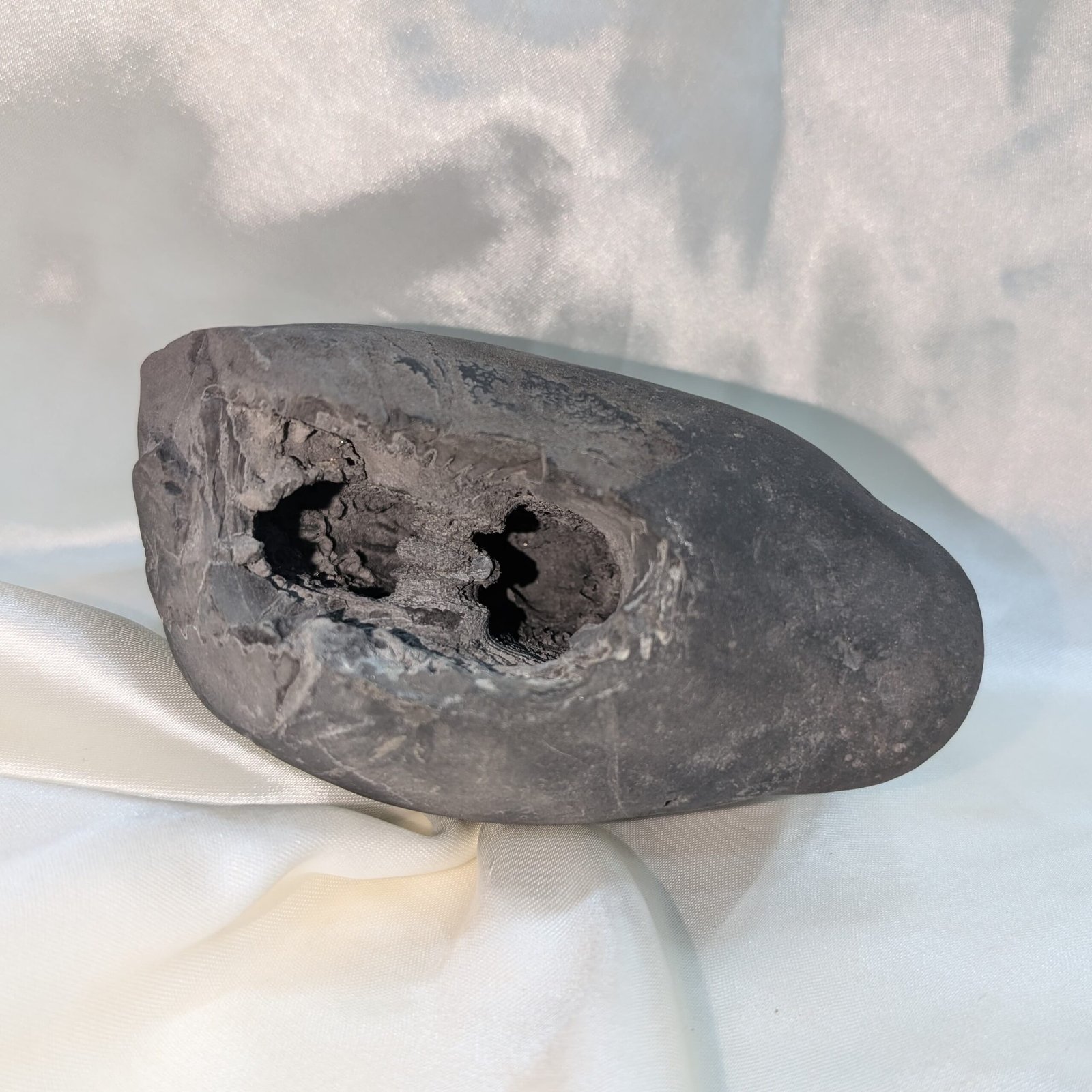 Original Vishnu Chakra Shaligram Shila - Sacred Gandaki River Stone