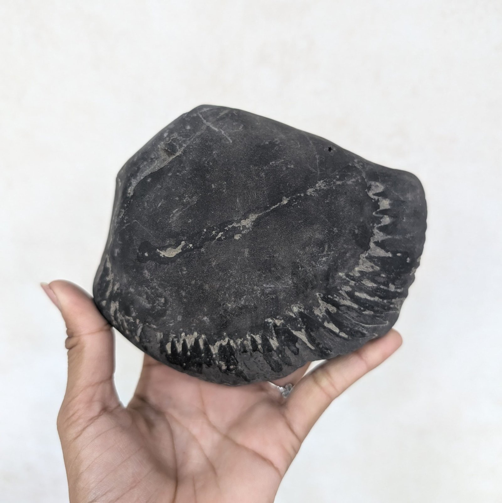 Original Vishnu Chakra Shaligram Shila - Sacred Gandaki River Stone - Image 8