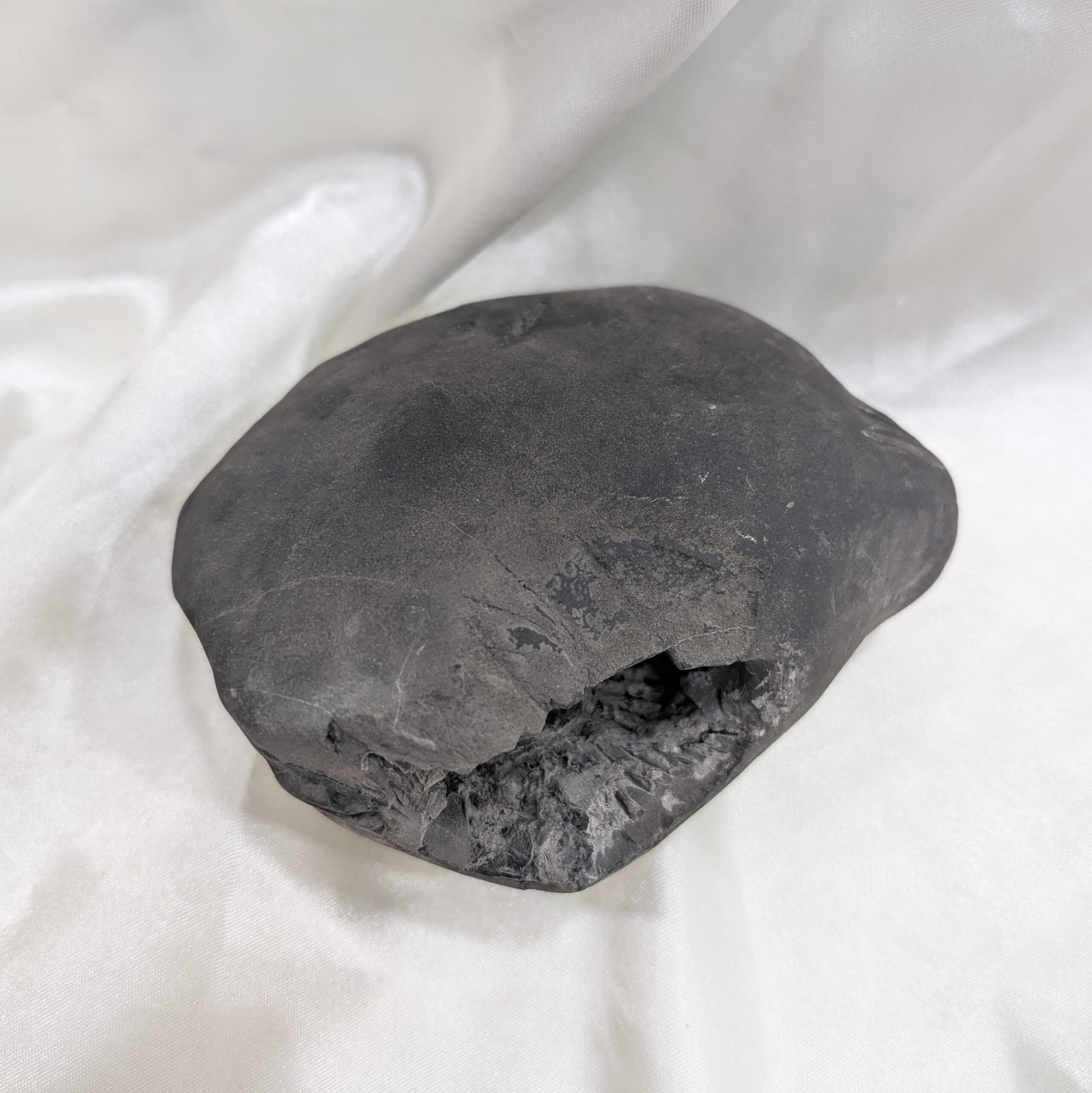 Original Vishnu Chakra Shaligram Shila - Sacred Gandaki River Stone - Image 7