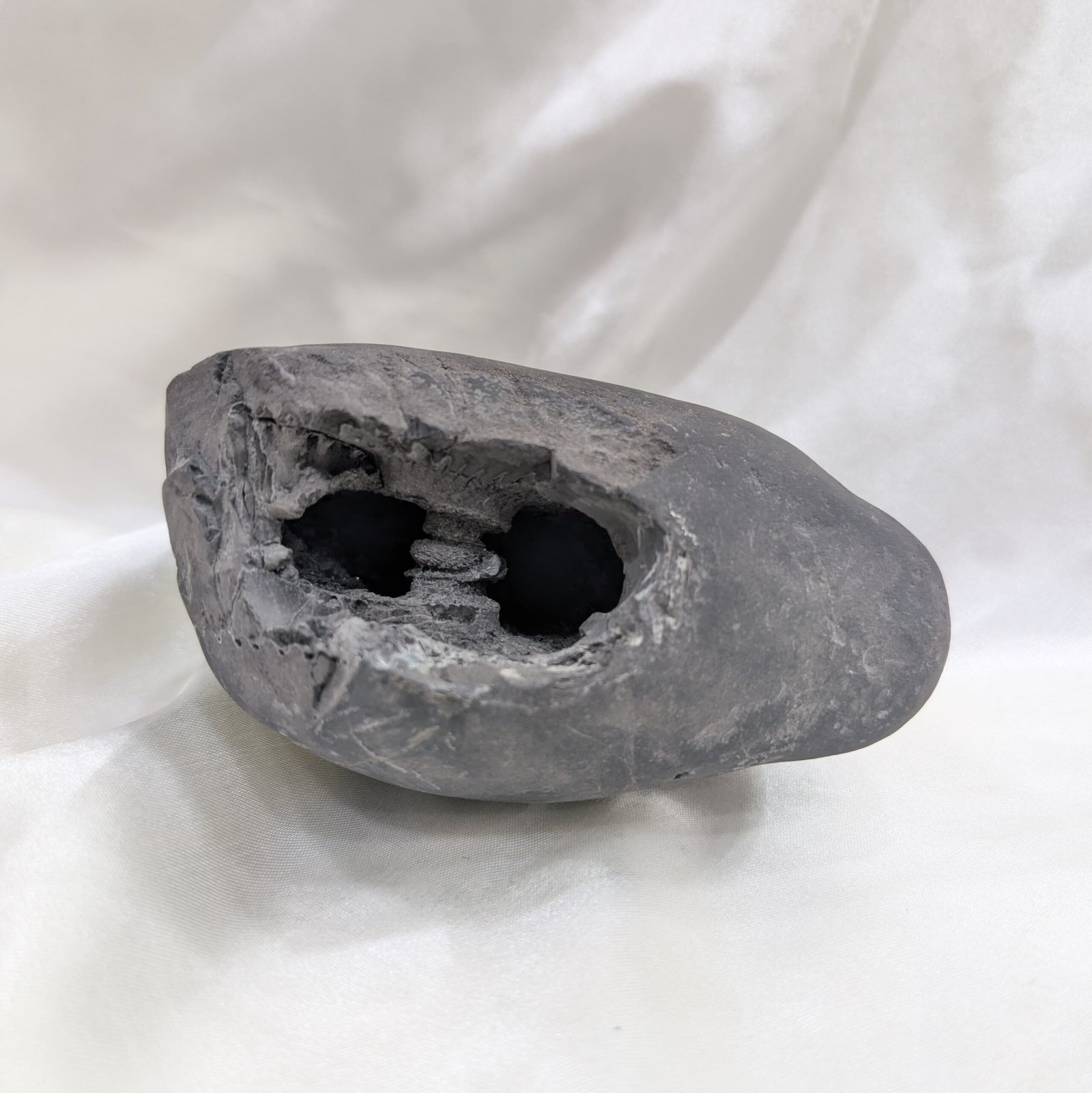 Original Vishnu Chakra Shaligram Shila - Sacred Gandaki River Stone - Image 4