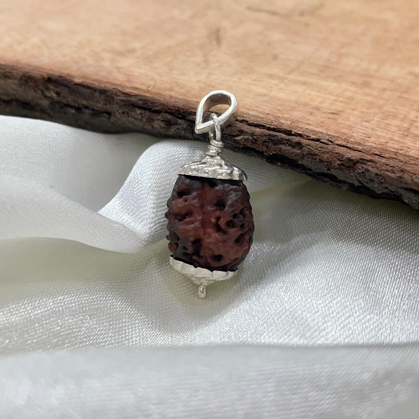 2 Mukhi Rudraksha, 2 Face Nepali Rudraksha Silver Pendant Lab Certified