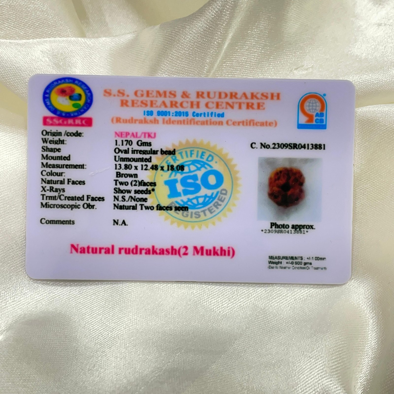 2 Mukhi Rudraksha, 2 Face Nepali Rudraksha Silver Pendant Lab Certified - Image 5