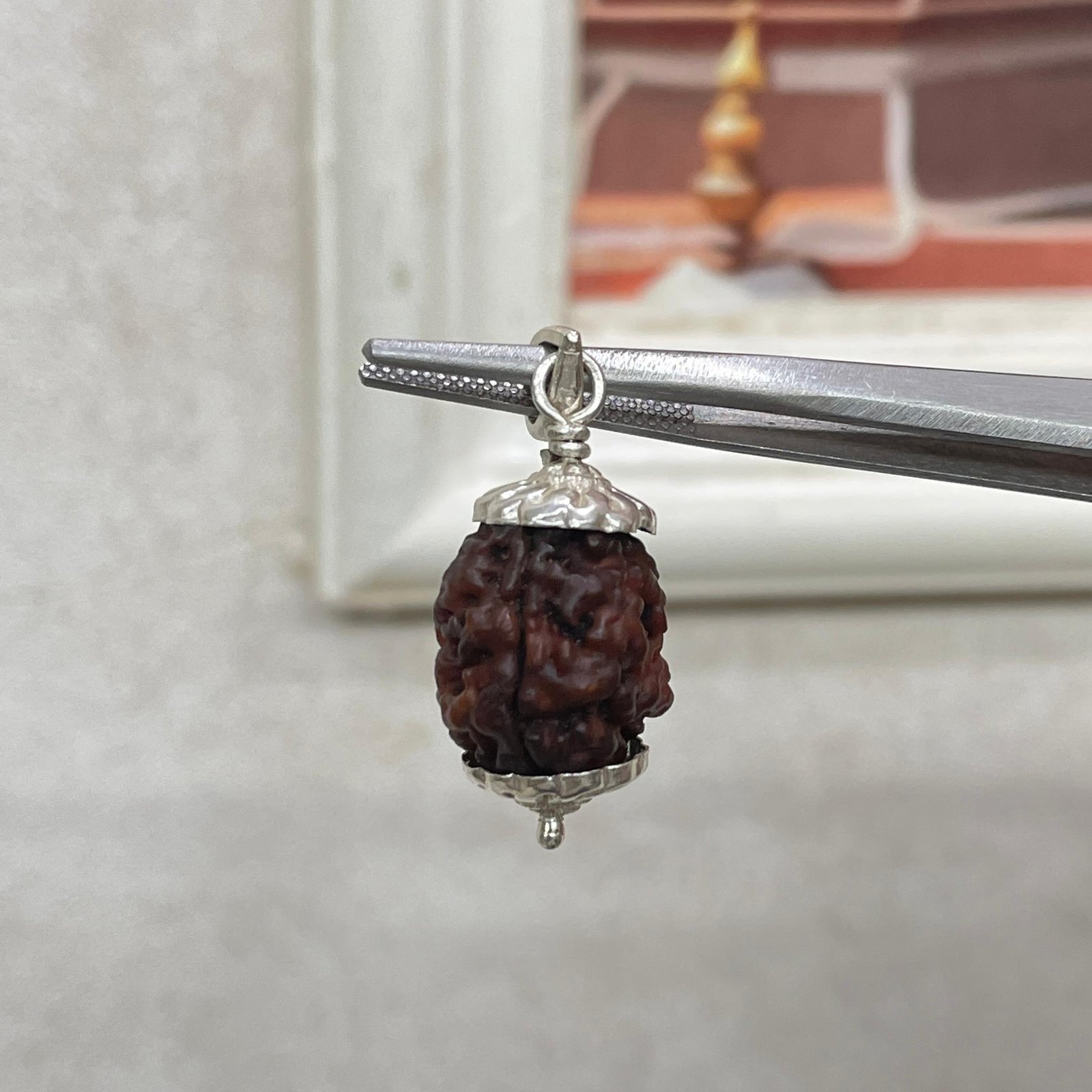 2 Mukhi Rudraksha, 2 Face Nepali Rudraksha Silver Pendant Lab Certified - Image 7