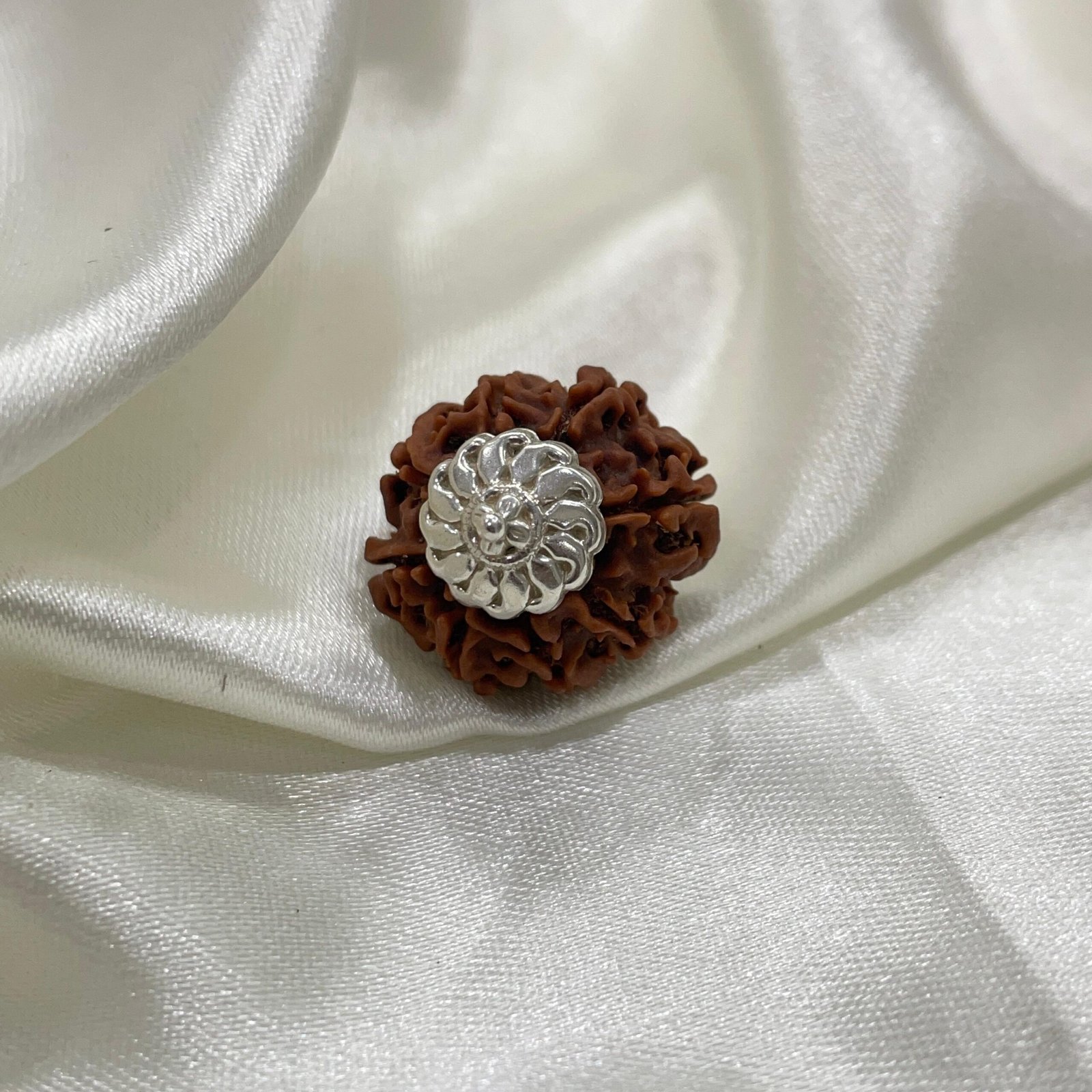 8 Mukhi Rudraksha, 8 Face Nepali Silver cap Rudraksha Pendant Lab Certified - Image 8