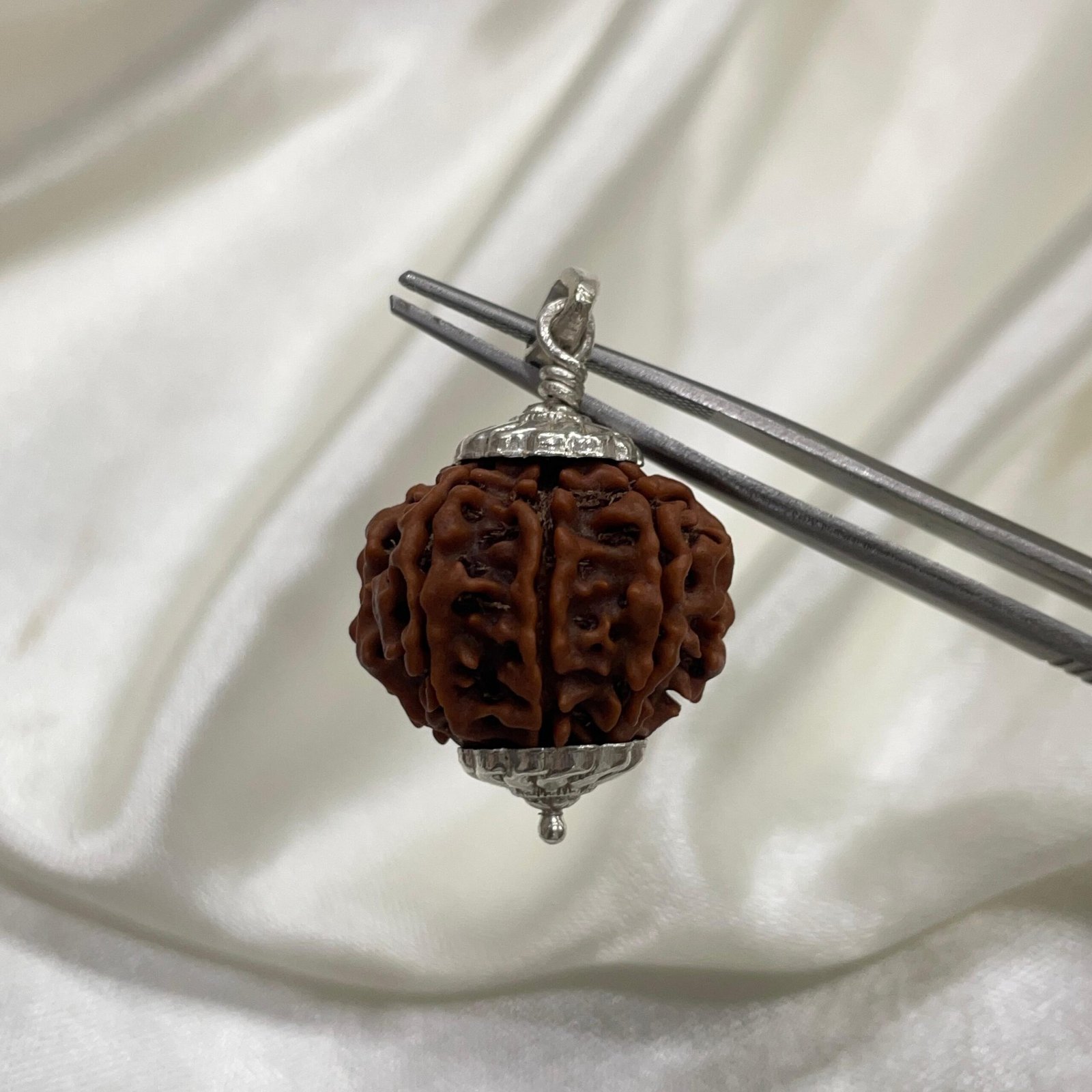 8 Mukhi Rudraksha, 8 Face Nepali Silver cap Rudraksha Pendant Lab Certified - Image 9