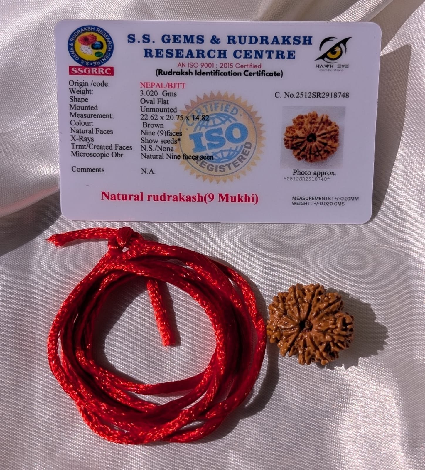 9 Mukhi Rudraksha – Nepali Rudraksha Pendant with Lab Certificate