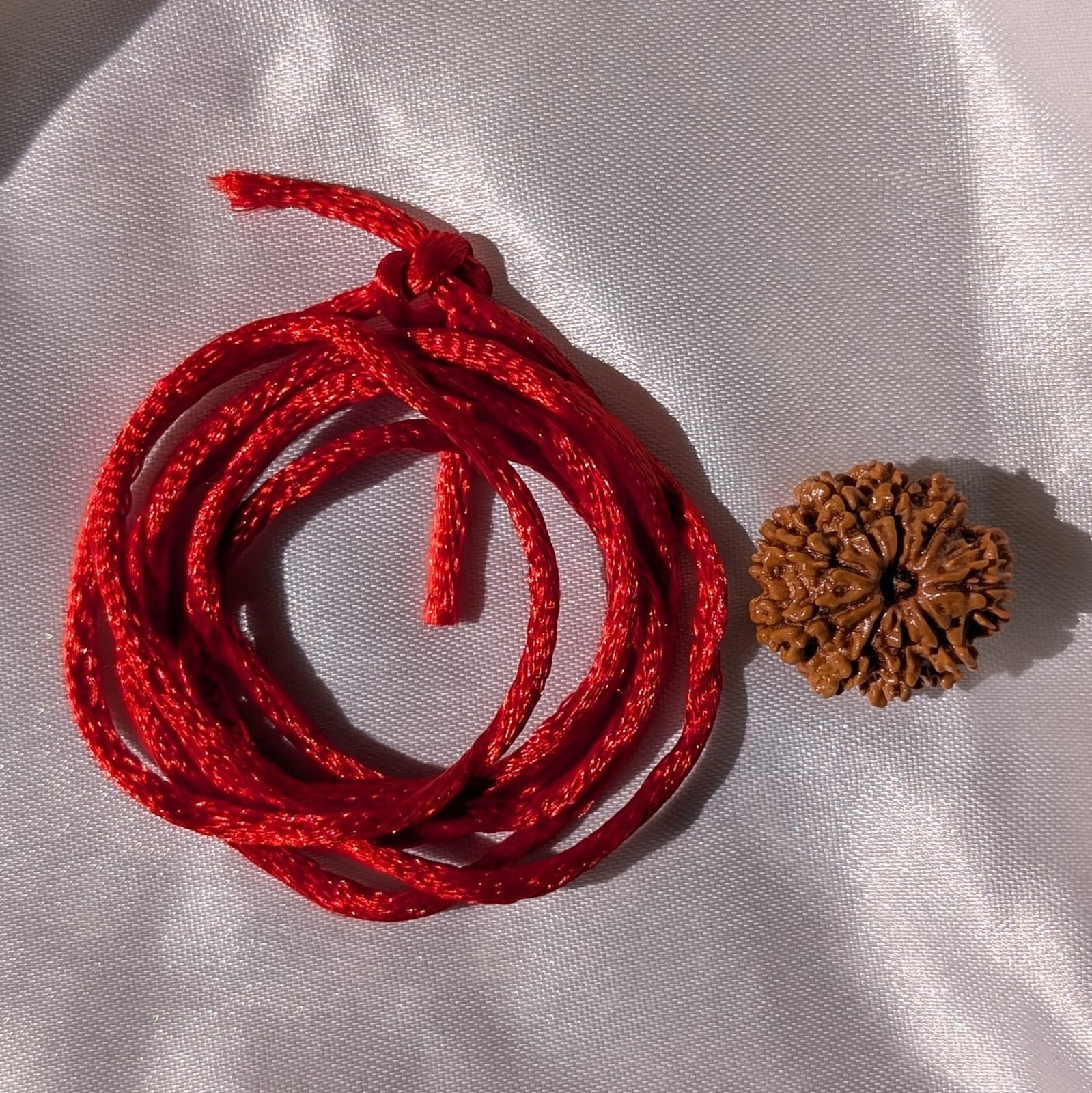 9 Mukhi Rudraksha – Nepali Rudraksha Pendant with Lab Certificate - Image 7