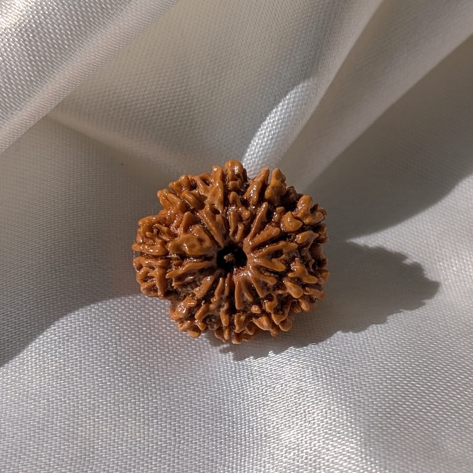 9 Mukhi Rudraksha – Nepali Rudraksha Pendant with Lab Certificate - Image 11