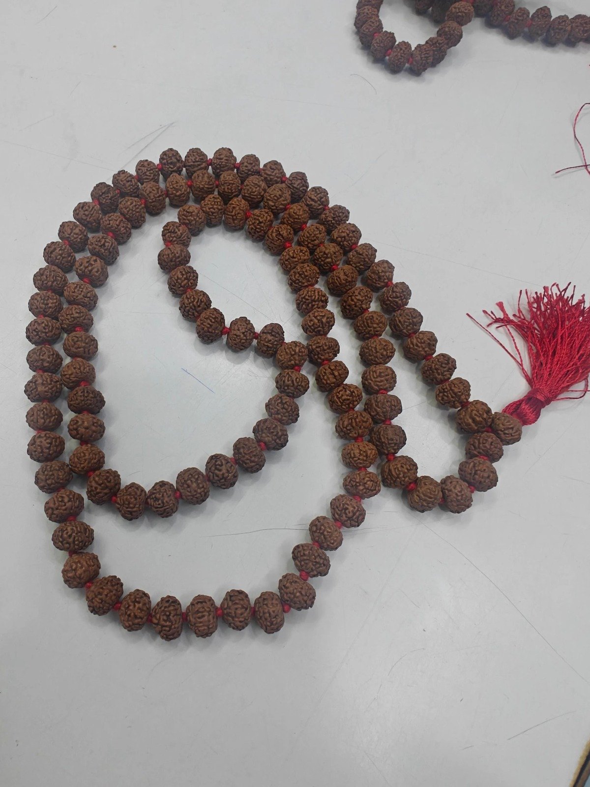 8 Mukhi Rudraksha Mala, Authentic Indonesian Prayer Beads - Image 3