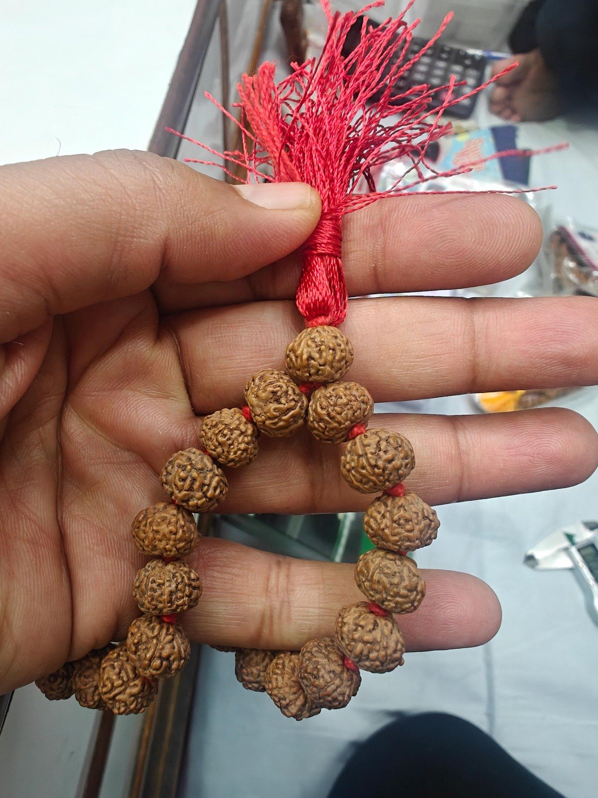 8 Mukhi Rudraksha Mala, Authentic Indonesian Prayer Beads - Image 2