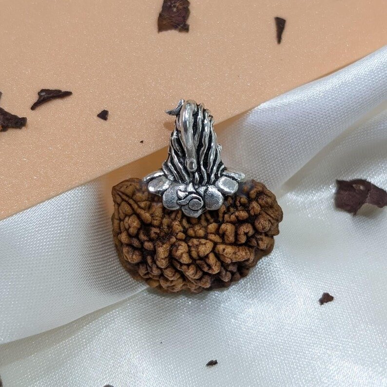 1 Mukhi Rudraksha Pendant, Pure Silver Mahadev, Spiritual Jewellery - Image 9