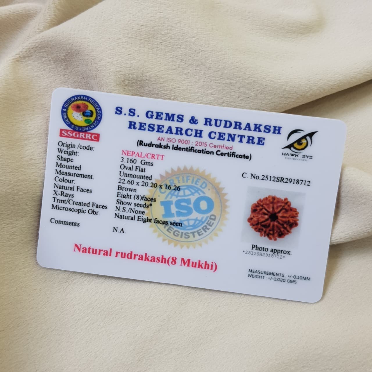 7 Mukhi Rudraksha Pendant in 92.5 Silver Cage (Lab Certified) - Image 6