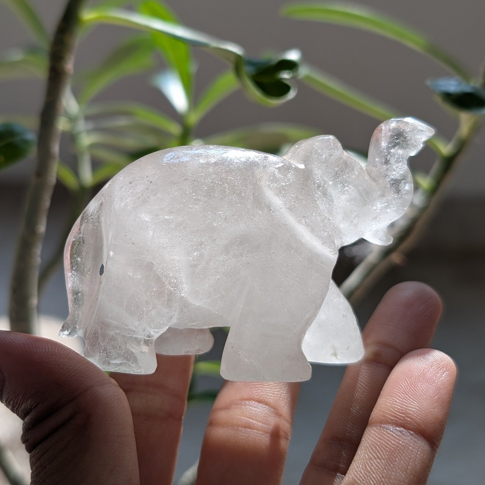Crystal Elephant 1 – Original White Sphatik Elephant for Home Décor & Gift - Image 4